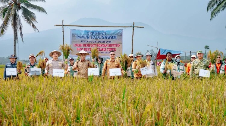 Panen Padi di Bunta, Wabup Morowali Utara Minta Petani Jaga Lahan Pertanian