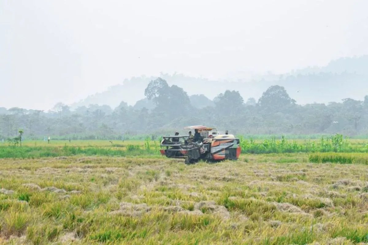 Pemkab Morowali Utara minta warga pertahankan lahan untuk ketahanan pangan